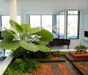 decoracion-de-oficinas-con-plantas1